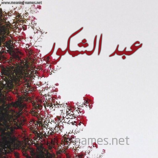 شكل 18 صوره الورد الأحمر للإسم بخط رقعة صورة اسم عبد الشَّكور ABD-ALSHAKOR